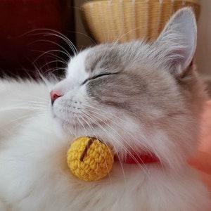 May include: A white and gray cat with its eyes closed, wearing a yellow crocheted bell collar.