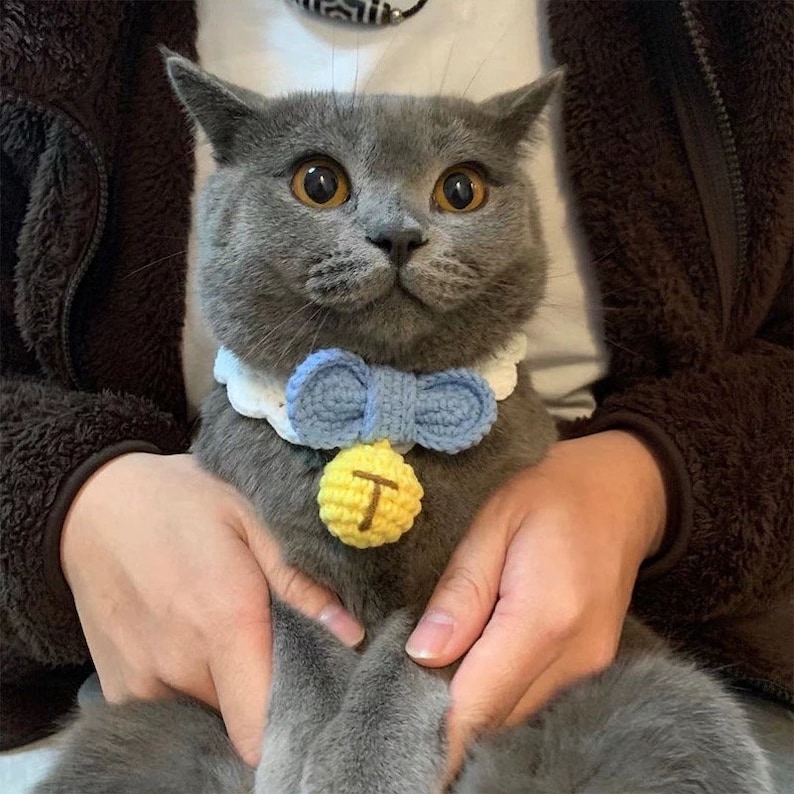 May include: A gray cat wearing a white and blue crocheted collar with a blue bow and a yellow crocheted bell with the letter "T" on it.