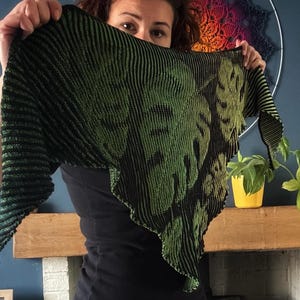 Pode incluir: Um xale de malha verde e preto com um padrão de folhas. O xale está drapeado sobre os ombros de uma pessoa.