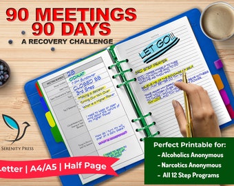 90 in 90 AA NA Meeting | Sober Recovery | Alcoholics Anonymous | Narcotics Anonymous | 12 Step Addiction Sobriety
