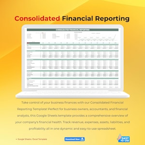Consolidated Financial Reporting Template, Google Sheets Editable Tool, Multi-Entity Financial Tracker, Business Finance Dashboard