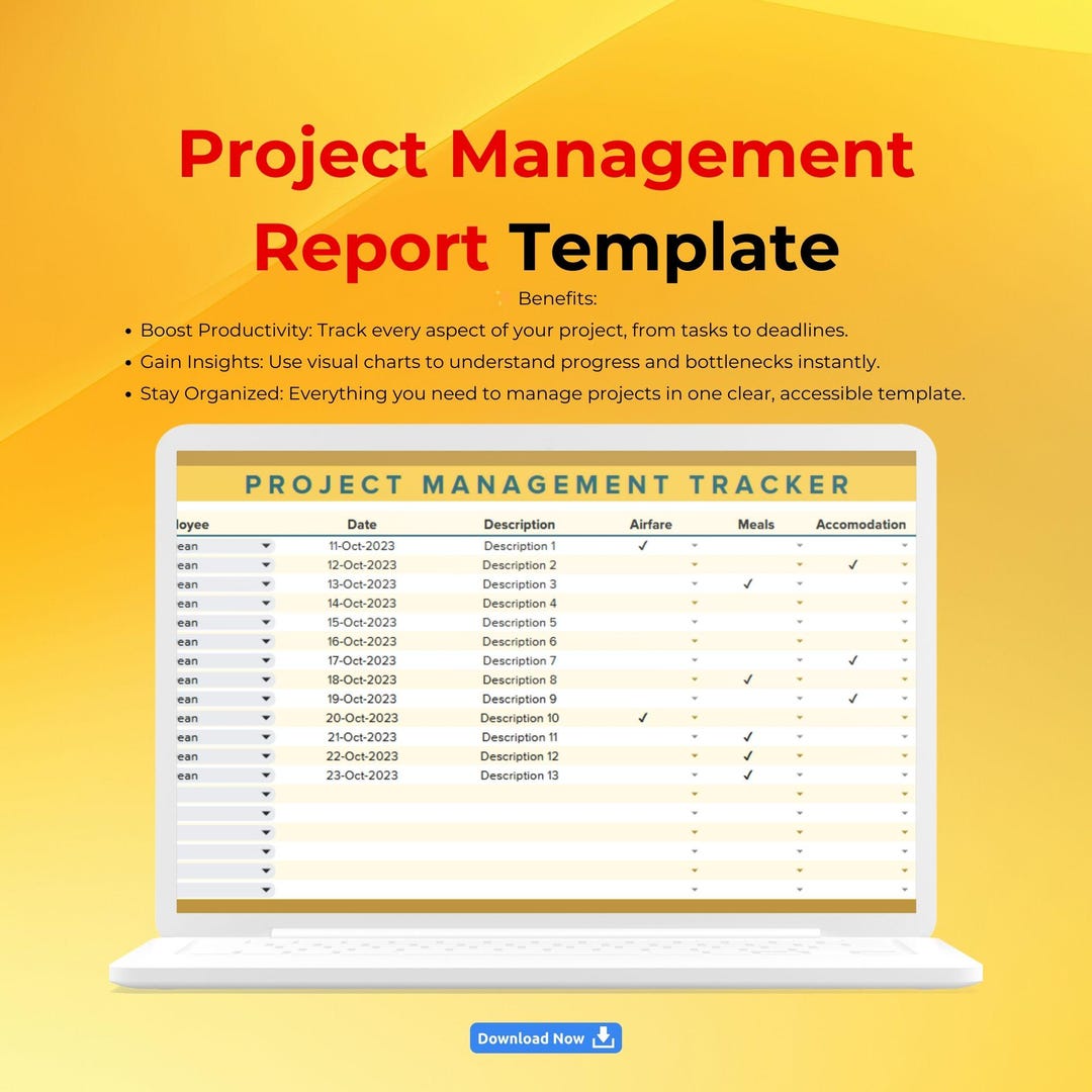 Project Management Report Template, Google Sheets Editable Tool, Task ...