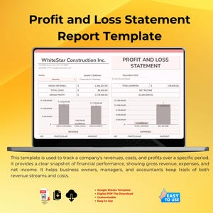 Profit and Loss Statement Report Template, Business Finance Tracker, Income and Expense, Small Business Tool, Editable Spreadsheet