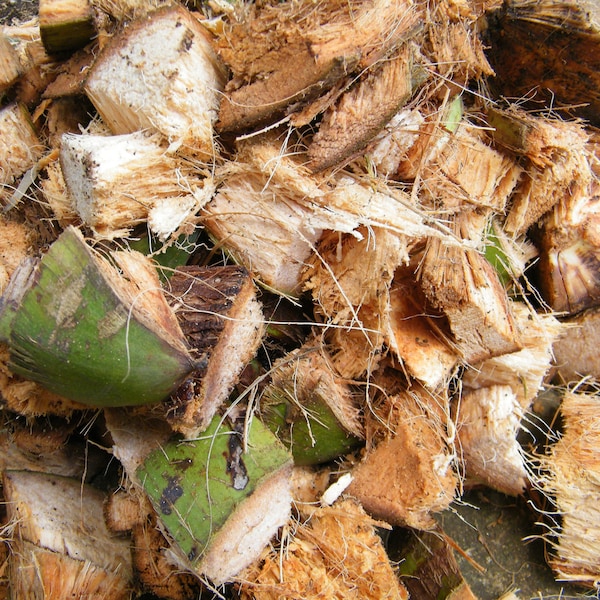 Chips di buccia di cocco • Pezzi • Chips di cocco • Per il vaso di fiori • 100% naturale • Conserva l'acqua all'interno del vaso