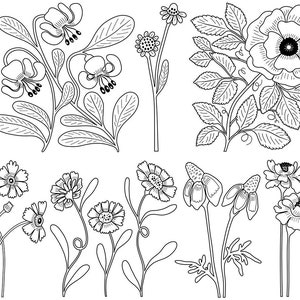 May include: A black and white line drawing of various flowers. The flowers are drawn in a simple, stylized manner and include a variety of shapes and sizes. The flowers are arranged in a random pattern and are not connected to each other.