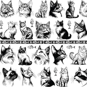 Może przedstawiać: Kolekcja czarno-białych ilustracji kotów w różnych pozach i stylach. Obrazy obejmują szczegółowe portrety, pełne przedstawienia ciała oraz koty z akcentami ryb i odcisków łap. Idealne dla miłośników kotów i projektów o tematyce zwierząt.
