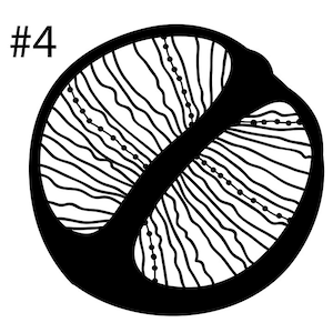 May include: Black and white illustration of a circular object with a complex pattern of lines and dots. The object is labeled with the number "#4".