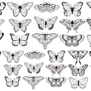 Può includere: Una collezione di 36 illustrazioni di farfalle in bianco e nero. Le farfalle sono disegnate in una varietà di stili, alcune con dettagli intricati e altre con un design più semplice.