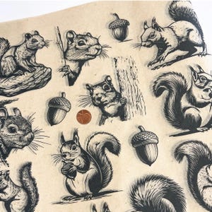 Op de afbeelding: Een verzameling zwart-wit illustraties van eekhoorns en eikels op een bruinachtige achtergrond. De eekhoorns worden in verschillende poses afgebeeld, sommige houden eikels vast. Een cent is inbegrepen voor de schaal.