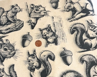 May include: A collection of black and white squirrel illustrations and acorn drawings on a tan background. The squirrels are depicted in various poses, some holding acorns. A penny is included for scale.