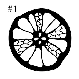 May include: Black and white illustration of a stylized flower with a circular shape and a geometric pattern.