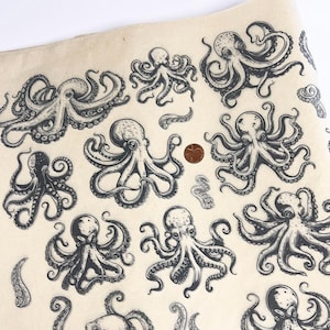 Pode incluir: Uma folha de papel com múltiplas ilustrações de polvos em preto e branco. Os polvos variam em tamanho e pose, com detalhes em linha. Uma moeda é incluída para escala. O papel tem uma cor esbranquiçada ligeiramente envelhecida.