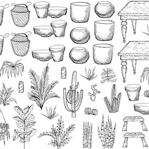 Underglaze Transfer, Ceramic Decal - Indoor Plants
