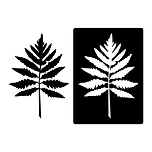 May include: Black and white silhouette of a fern leaf. The fern leaf is shown twice, once on a white background and once on a black background.