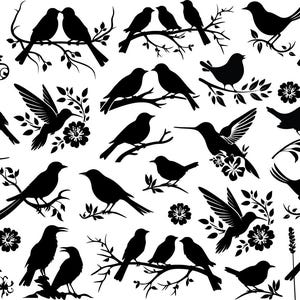 Puede incluir: Una colección de siluetas de pájaros negros en varias poses, posados en ramas y con detalles florales. Los pájaros incluyen colibríes y otras especies, algunos en vuelo. La imagen es un diseño gráfico con fondo blanco.