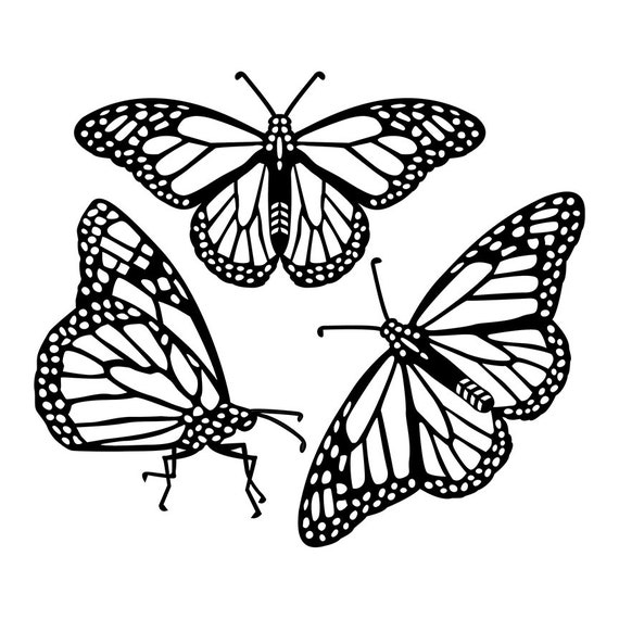 Monarch Butterfly Stencil, Clay Stencil , Butterfly Stencil - tuyetnhan.co