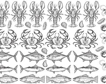 Underglaze Transfer, Ceramic Decal - Crustaceans and Fish