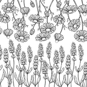 Trasferimento sotto smalto, decalcomania in ceramica - camomilla e lavanda