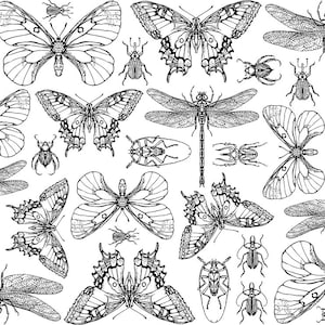 Underglaze Transfer, Ceramic Decal - Bugs