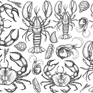 Trasferimento sotto smalto, decalcomania in ceramica - Crostacei