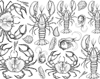 Underglaze Transfer, Ceramic Decal - Crustaceans