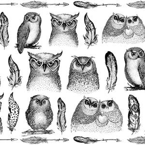 May include: A black and white illustration of owls with feathers and arrows. The owls are drawn in a vintage style and have different expressions. Some owls are wearing glasses.