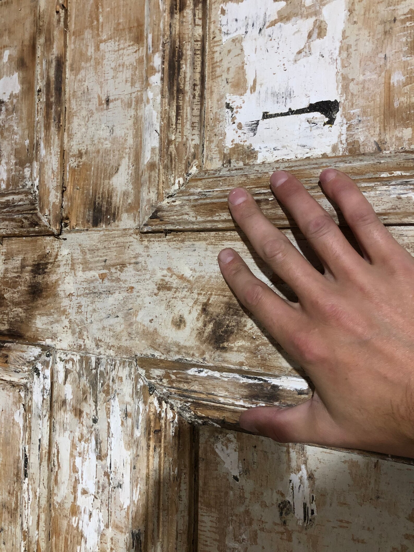 Antique Exterior Stained Wood Entry Door Classic 6 Panel /w Etsy