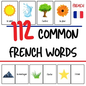 Schede didattiche in francese - 112 parole comuni in francese - Francese per principianti - Schede didattiche per bambini - Esercizi divertenti per il vocabolario francese - Download PDF