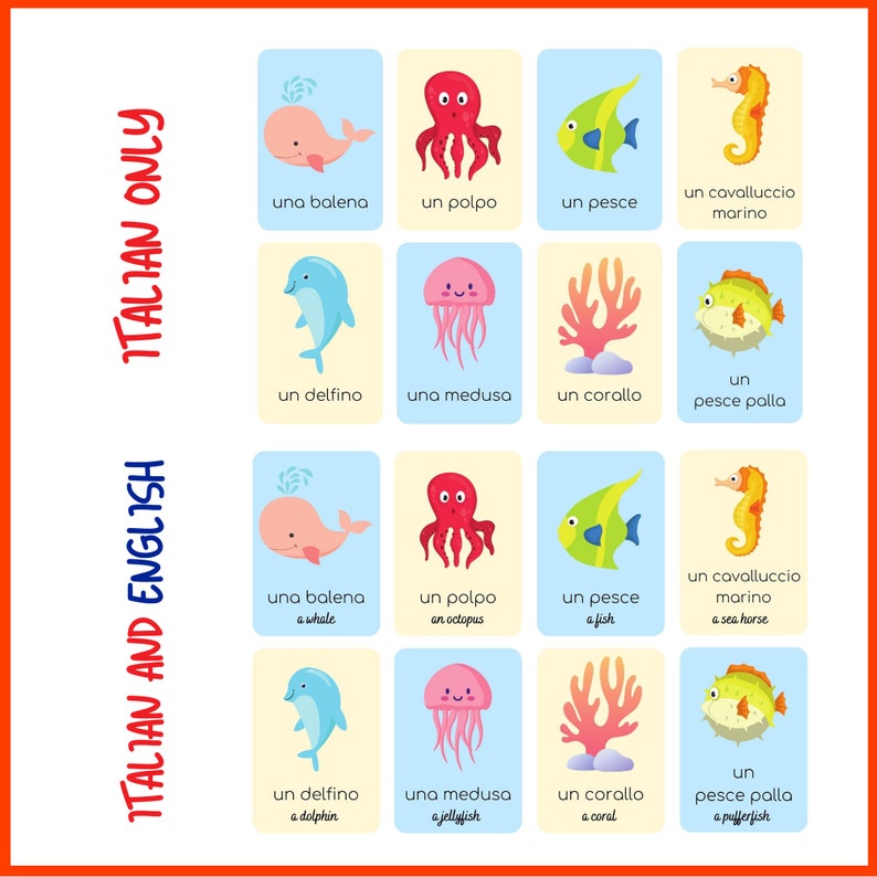 Italian Flashcards Ocean Theme Cute Flashcards for Kids Fun Italian