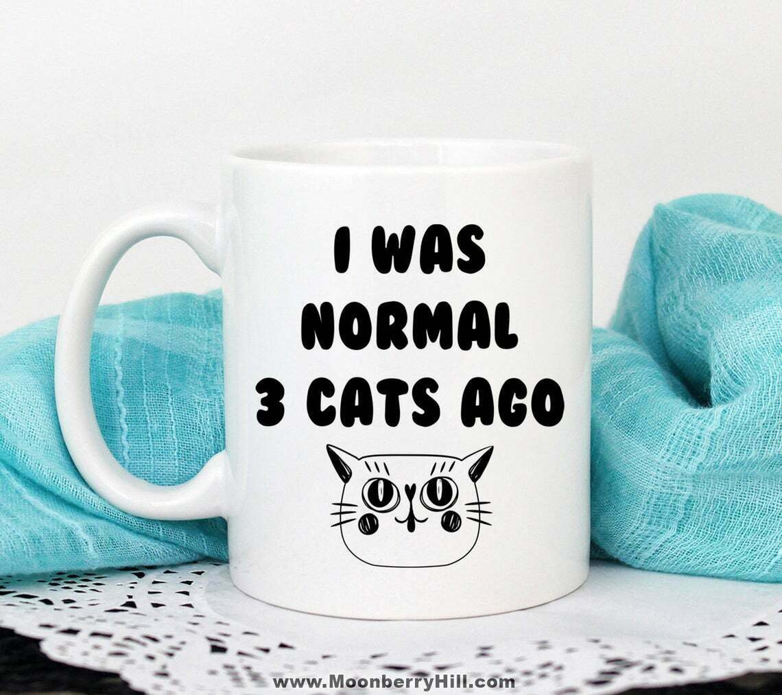 NEW Cat Mom Gifts Cat Gifts for Women Cat Mom Mug Crazy Cat Lady Mug