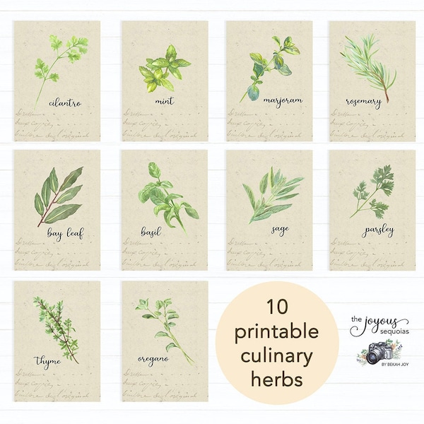 Parsley Sage Rosemary and Thyme Art Print Etsy