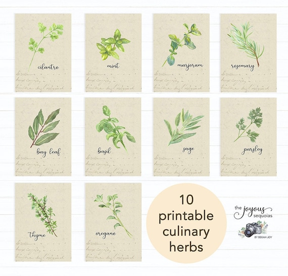 Vintage Kitchen Printable Culinary Herbs Set of 10 Rosemary | Etsy