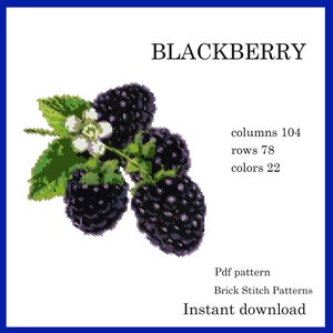 May include: Blackberry cross stitch pattern with 104 columns, 78 rows, and 22 colors.  Pdf pattern, Brick Stitch Patterns, Instant download.