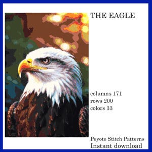 May include: A detailed digital art image of an eagle's head, featuring a yellow beak, piercing eyes, and white and brown feathers. The text "THE EAGLE" is at the top. The image also includes the text "columns 171 rows 200 colors 33".