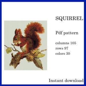 Może przedstawiać: Wzór do haftu krzyżykowego przedstawiający wiewiórkę na gałęzi. Wiewiórka jest przedstawiona w odcieniach brązu i pomarańczy. Tekst "SQUIRREL" i "Pdf pattern" są wyświetlane wraz z wymiarami i liczbą kolorów.