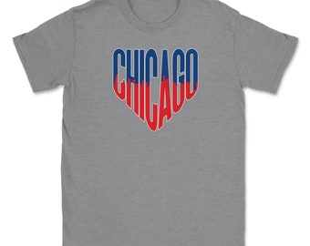 Chicago City Skyline Home Plate Baseball Ballpark Fan Gift Hoodie