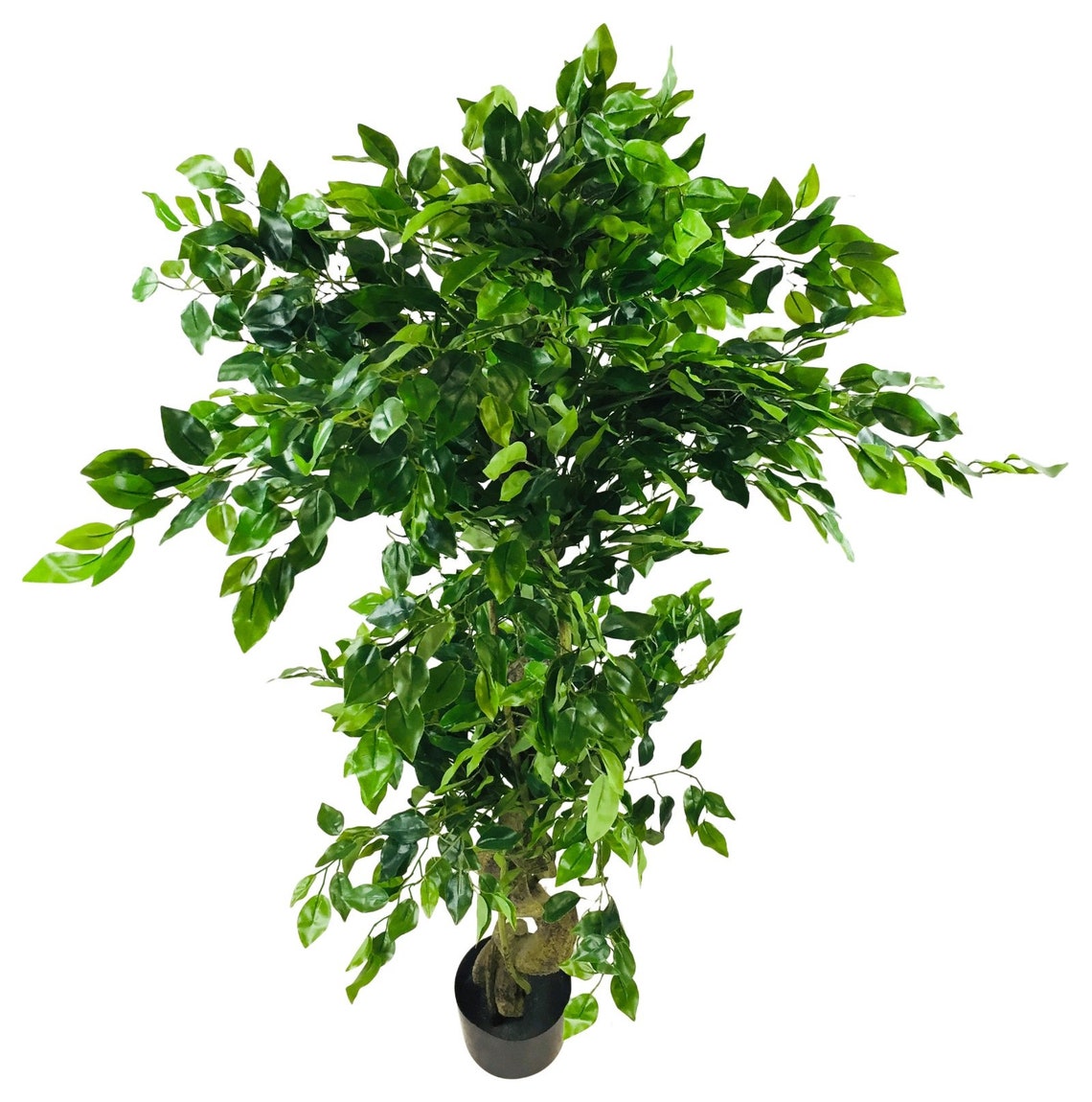 145cm Tall Artificial Ficus Tree with Natural Twisted Trunk Etsy