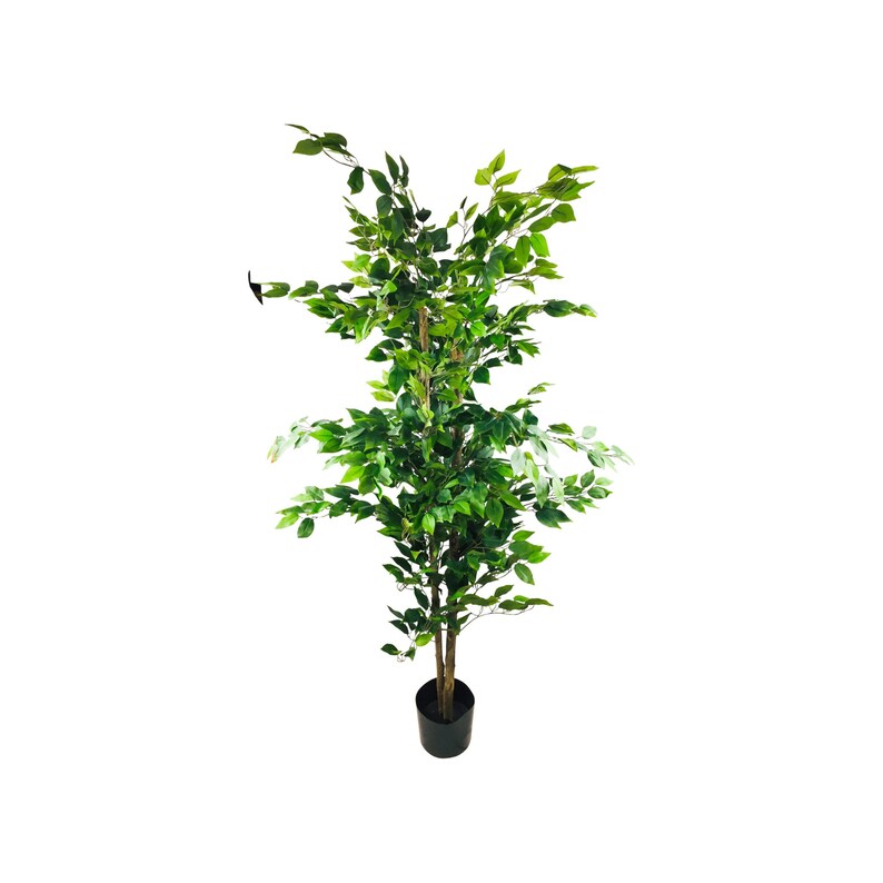 180cm Tall Artificial Ficus Tree With Natural Trunk Indoor Etsy UK