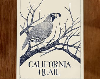 California Quail Risograph Druck