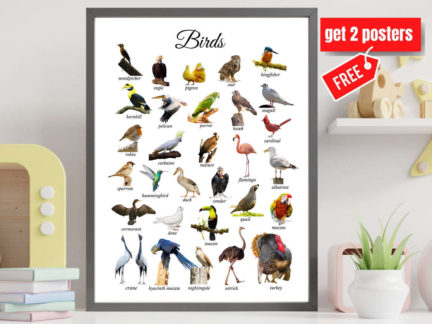 30 Birds Poster Preschool Poster Kids Nursery Room Etsy