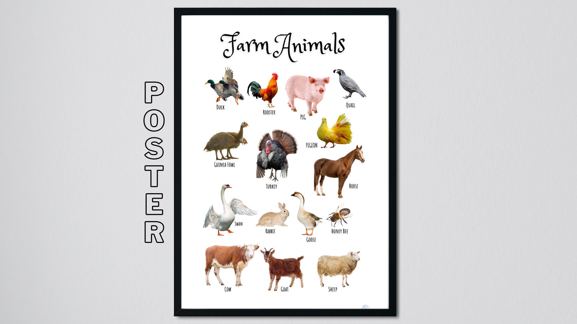 Farm Animals Poster Printable Montessori Poster Kids - Etsy Australia
