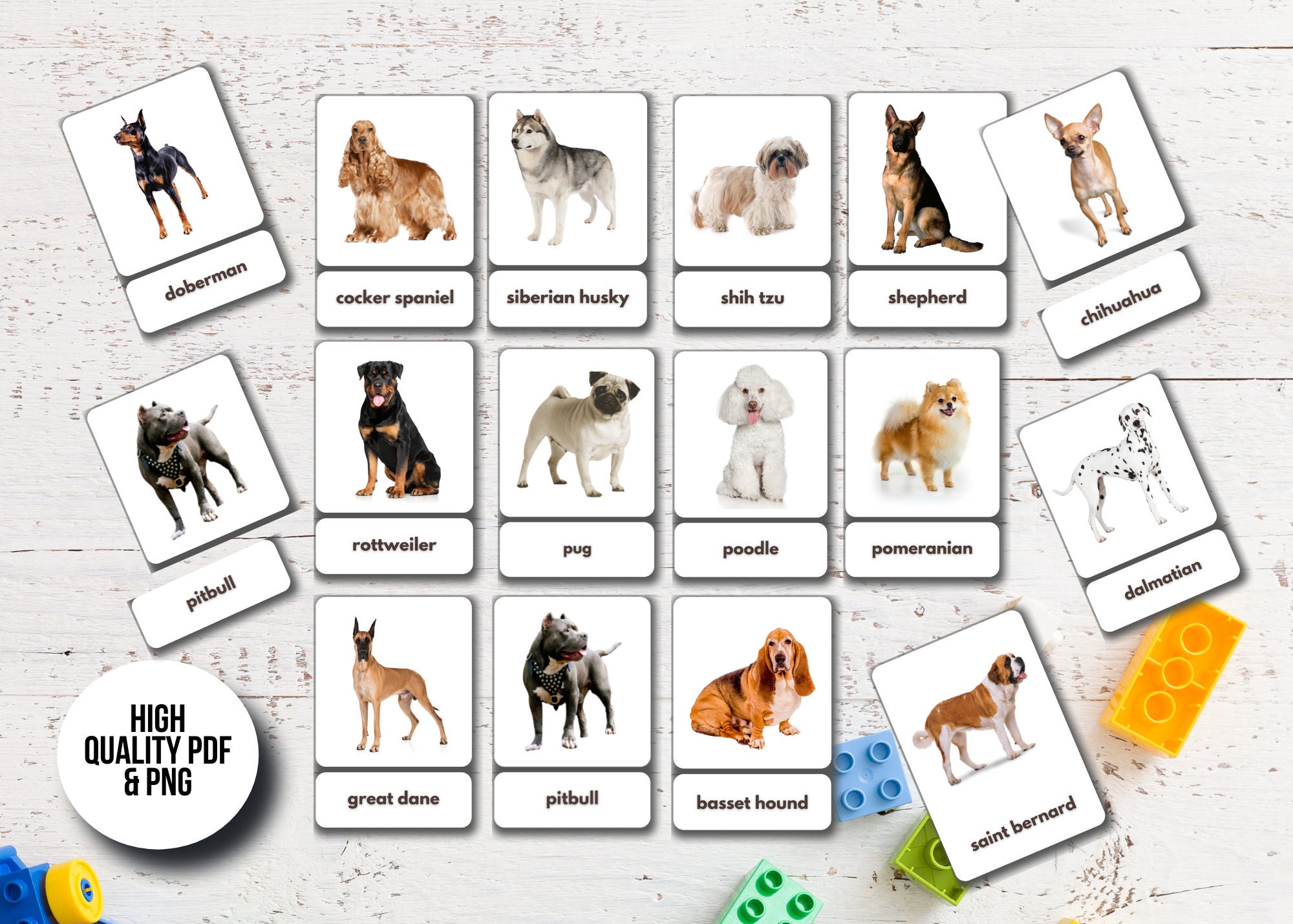 40 Dog Breeds Flashcards Printable Montessori Cards | Etsy