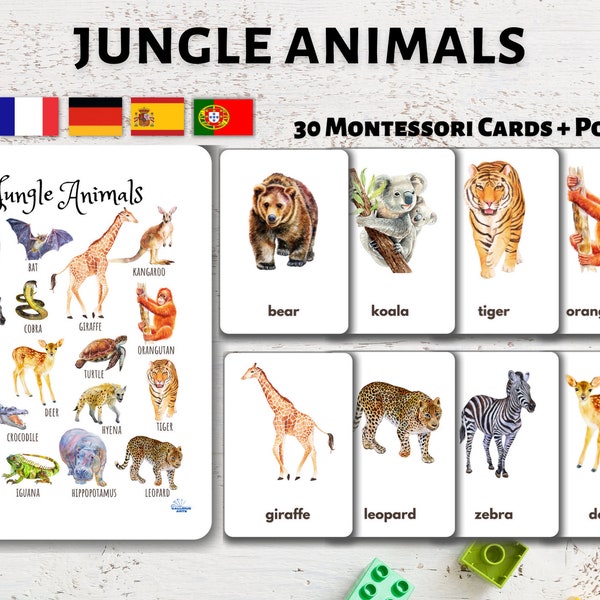 Safari Animals Flashcards Etsy