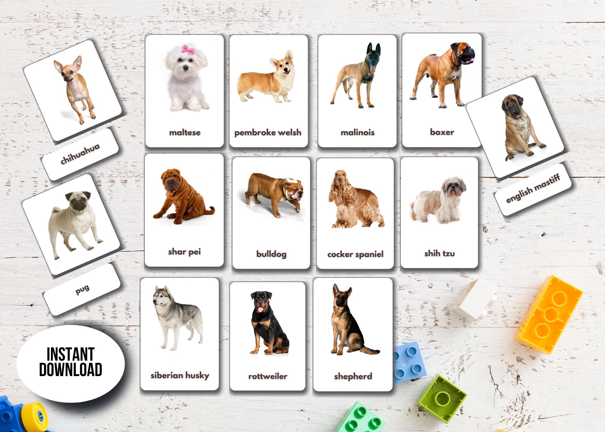 dog-breeds-flashcards-printable-montessori-cards-israel-lupon-gov-ph