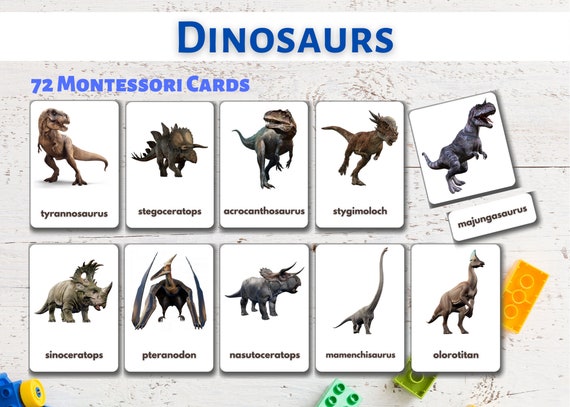 Dinosaurs Flashcards Printable and Editable Montessori - Etsy