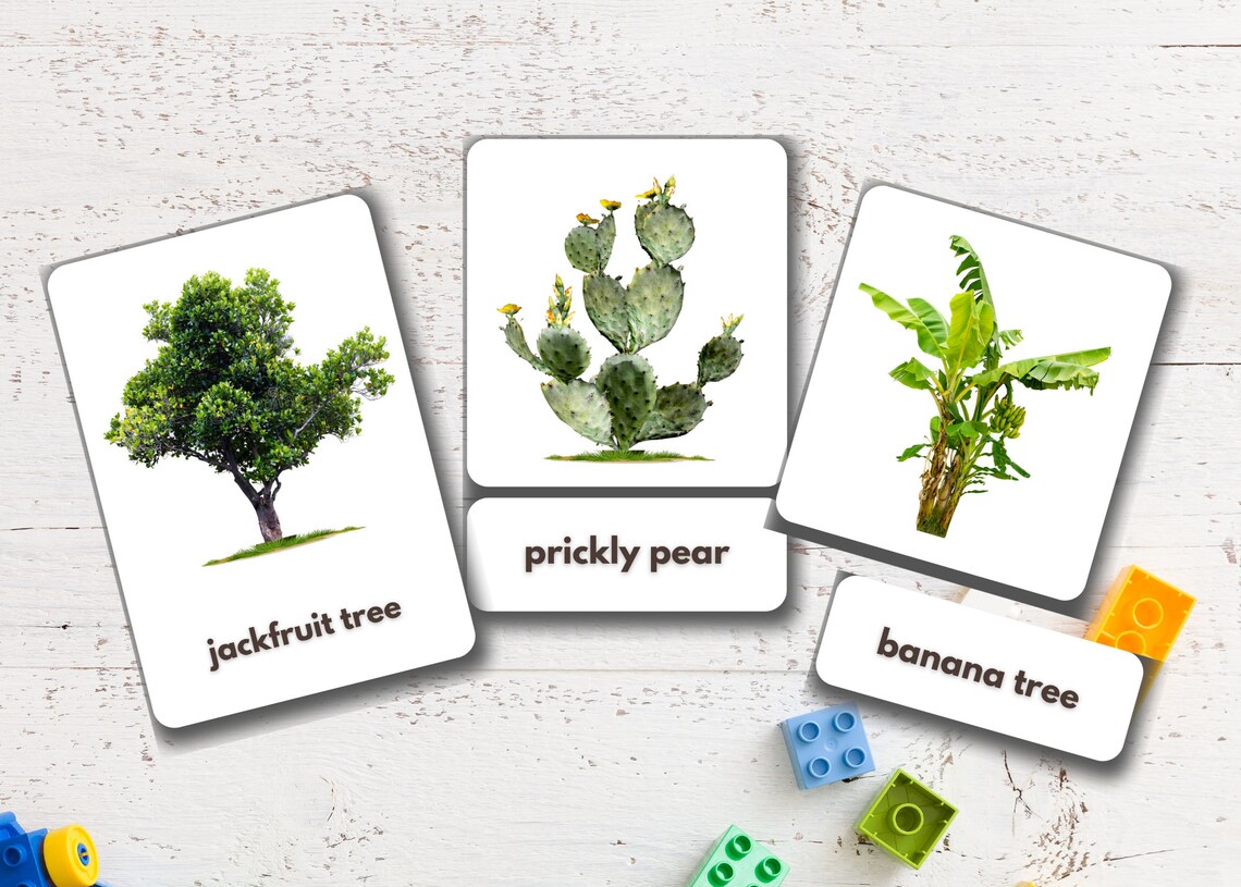 Trees Flashcards Printable Montessori Cards Nomenclature Etsy