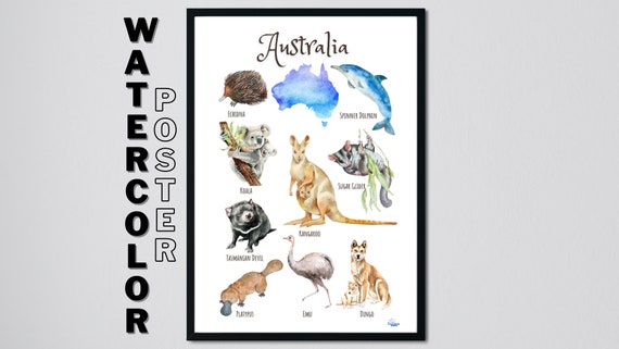 Australia Continent Animals watercolor Printable Montessori - Etsy