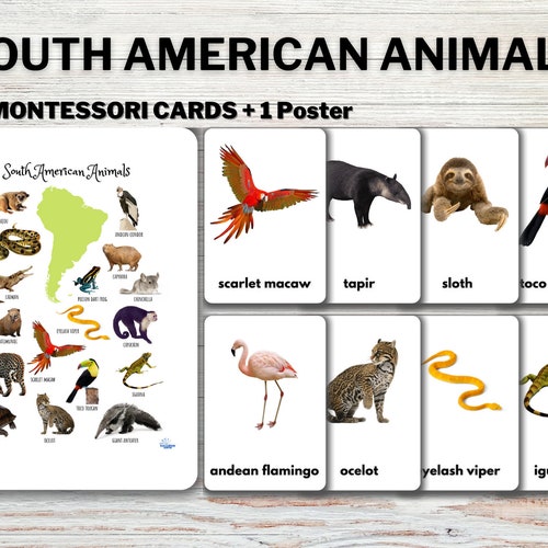 South America Continent Watercolor Animals Printable - Etsy