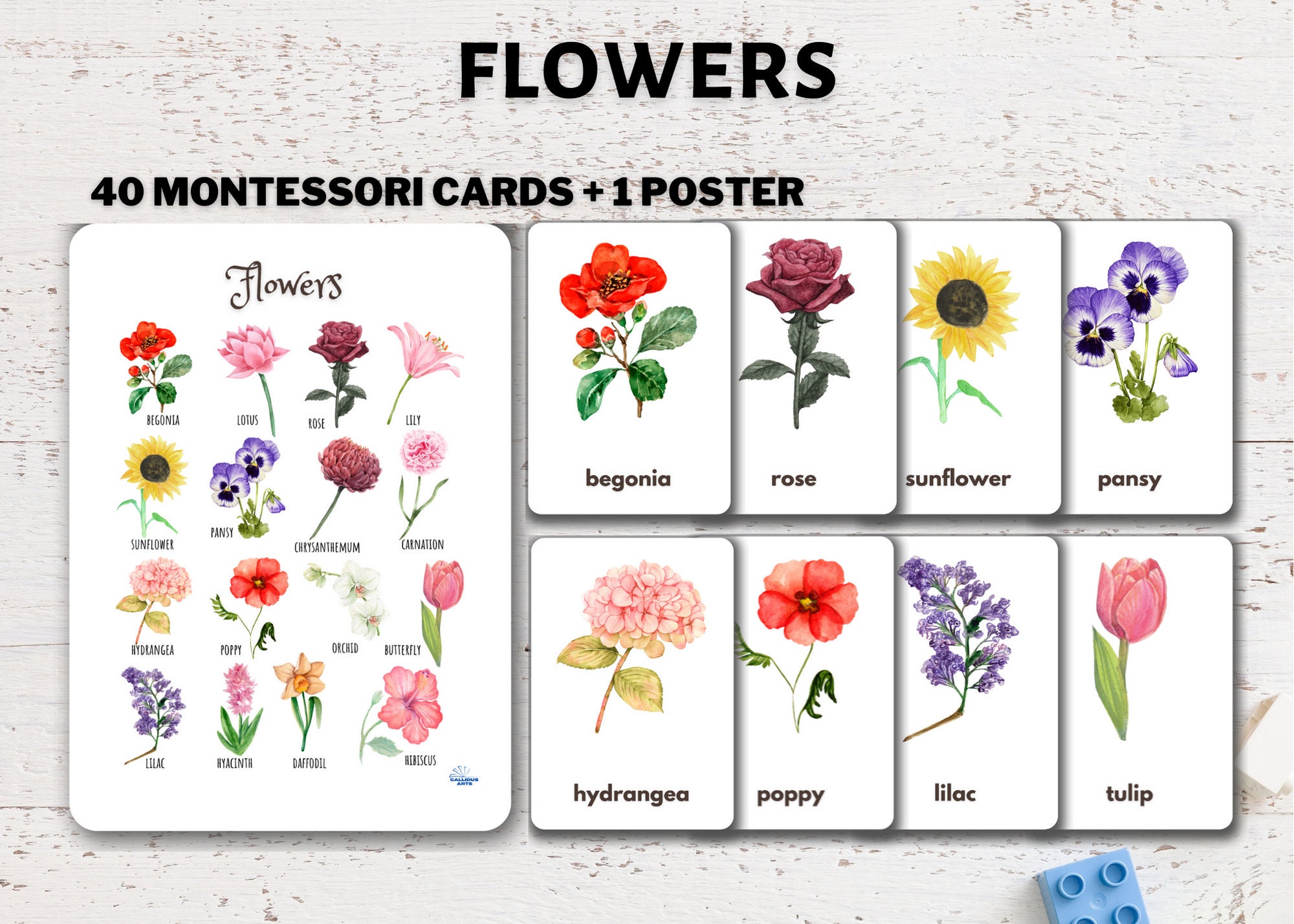 Flowers Flashcards Watercolor Printable Montessori Cards | Etsy India