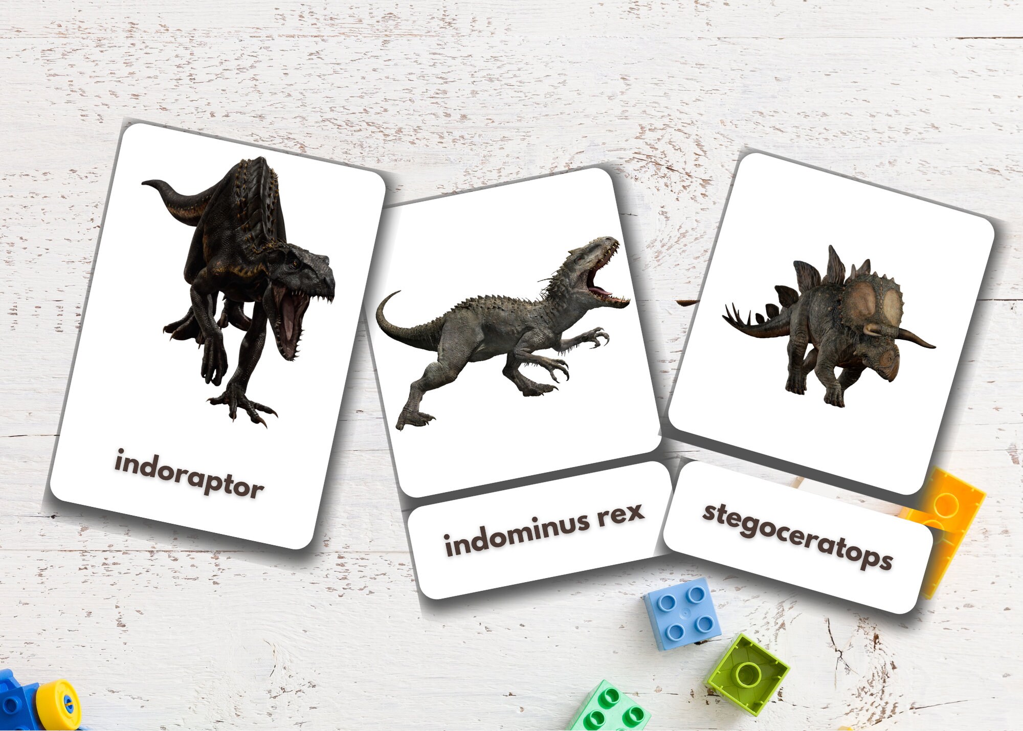 Dinosaurs Flashcards Printable and Editable Montessori - Etsy UK